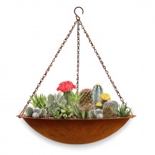 18800 - Oxy-Shield Succulent Bowl